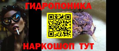 гидропоника Ирбит